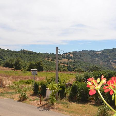 Agriturismo Masseria Castiglione Gallicchio Dış mekan fotoğraf