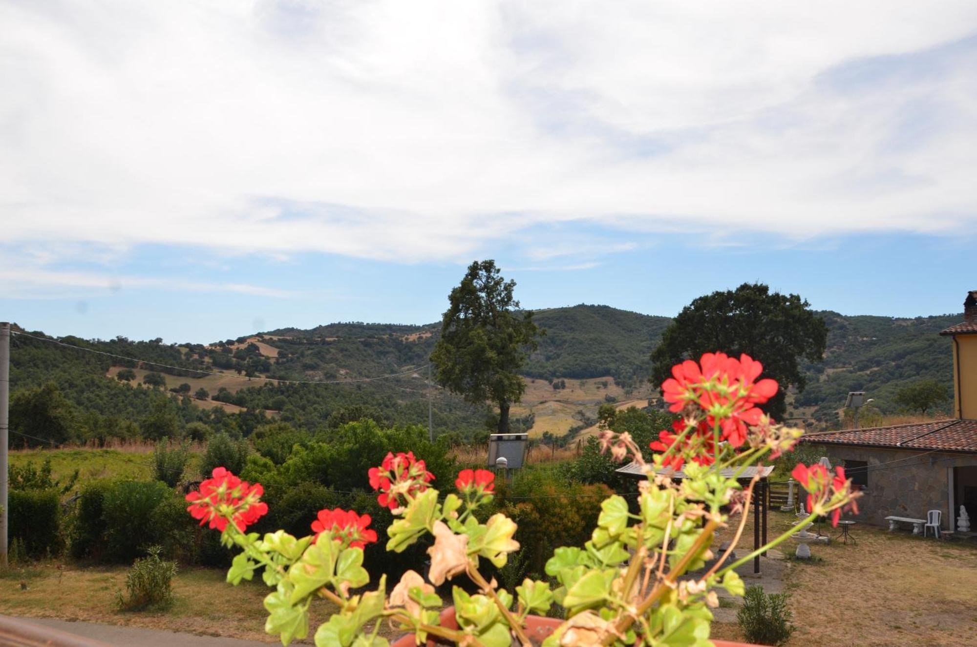 Agriturismo Masseria Castiglione Gallicchio Dış mekan fotoğraf