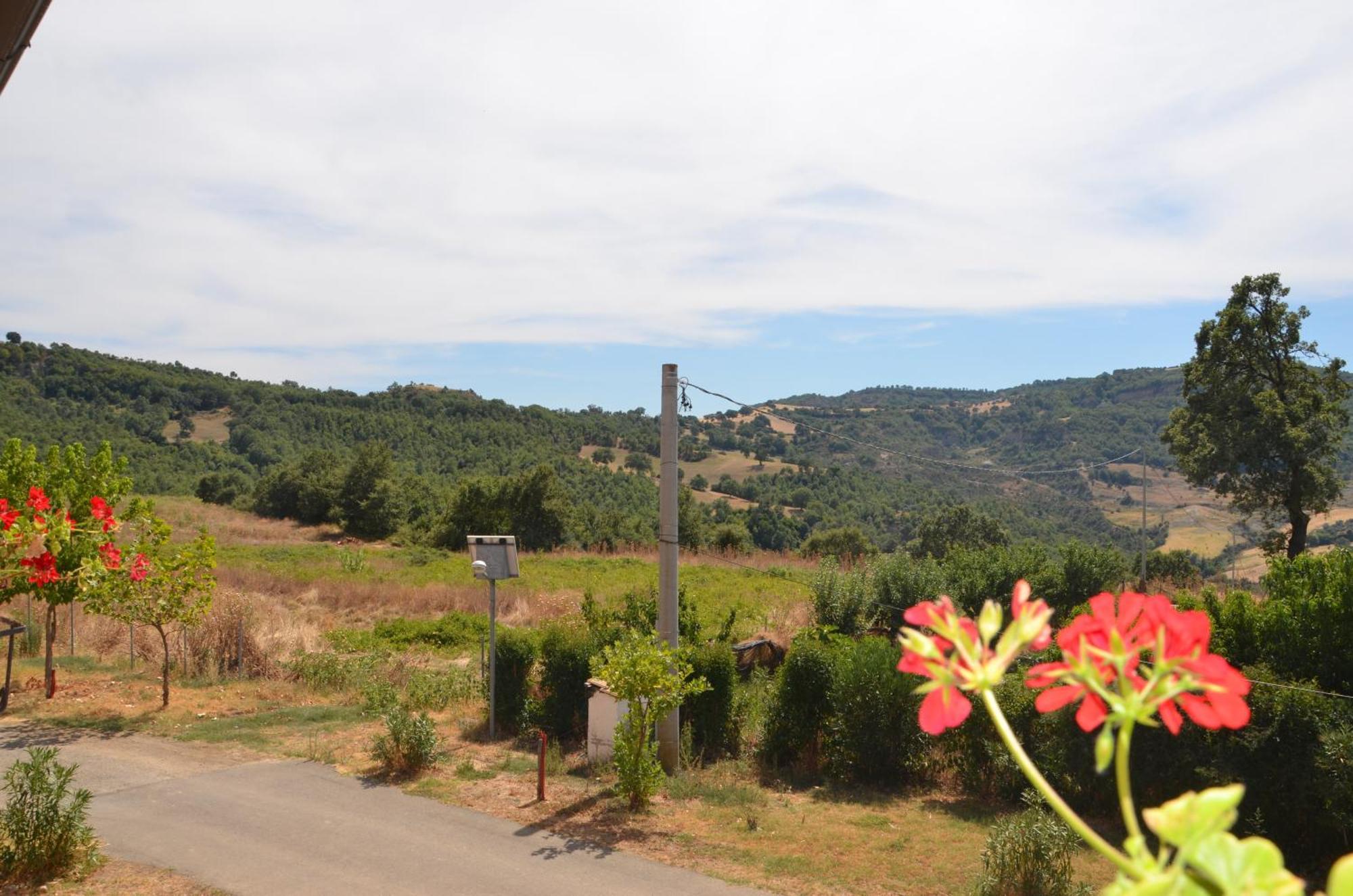 Agriturismo Masseria Castiglione Gallicchio Dış mekan fotoğraf